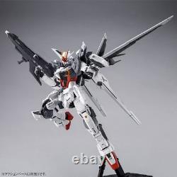 BANDAI MG 1/100 gundam ex impulse Gundam Build Divers from Japan