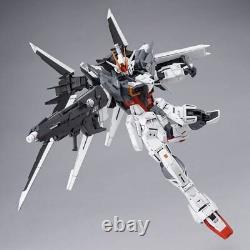 BANDAI MG 1/100 gundam ex impulse Gundam Build Divers from Japan