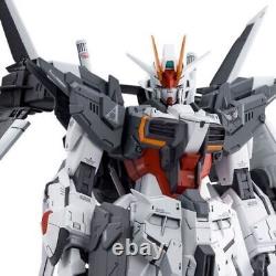 BANDAI MG 1/100 gundam ex impulse Gundam Build Divers from Japan