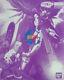 Brand New Unopen Bandai Mg 1/100 Destiny Impulse Gundam R (regenes)