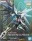 Brand New Unopen P-bandai Mg 1/100 Freedom Gundam Ver. 2.0 Ver. Collection