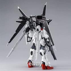 MG 1/100 Gundam Ex Impulse Japan version? From JAPAN