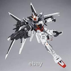 MG 1/100 Gundam Ex Impulse Japan version? From JAPAN