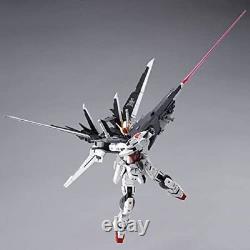 MG 1/100 Gundam Ex Impulse Japan version? From JAPAN