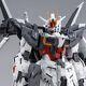 P-bandai Mg Gundam Ex Impulse 1/100 Gundma Build Divers Genius Head Line