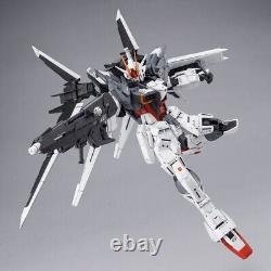 P-Bandai MG Gundam Ex Impulse 1/100 Gundma Build Divers Genius Head Line