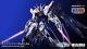 Pre-order Metal Build Strike Freedom Gundam Metal Build Festival 2024 Limited