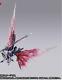 Bandai Metal Build Gundam Seed Destiny Festival 2024 Correspondance De Couleurs Spéciales