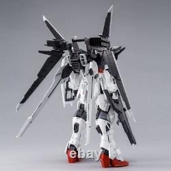 BANDAI MG 1/100 Gundam Ex Impulse Gundam Build Divers du Japon Neuf avec Boîte