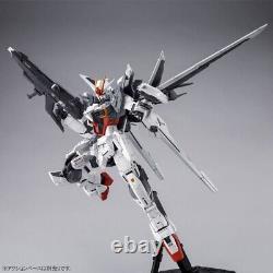 BANDAI MG 1/100 Gundam Ex Impulse Gundam Build Divers du Japon Neuf avec Boîte