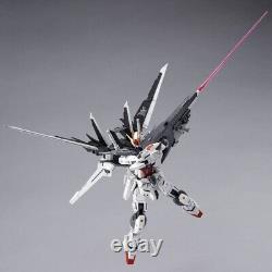 BANDAI MG 1/100 Gundam Ex Impulse Gundam Build Divers du Japon Neuf avec Boîte