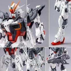 BANDAI MG 1/100 Gundam Ex Impulse Gundam Build Neuf avec Boîte EXPÉDITION DEPUIS LES ÉTATS-UNIS