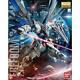 Bandai Mg Freedom Gundam (ver. 2.0) Gundam Seed 1/100 Trousse De Modèle D'échelle