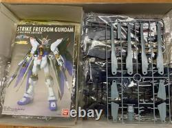 Freedom Gundam Strike Édition Éclair de la Destinée des Graines 1/60 Modèle en Plastique Figure