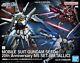 Nouveau Kit P-bandai Hg 1/144 Gundam Seed 20ème Anniversaire Set Revêtement Métallique
