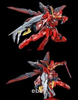 P-bandai Gundam Seed Rgx-00 Testament Gundam Mg 1/100 Modèle Kit USA Vendeur
