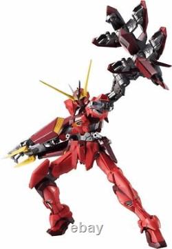 ROBOT SPIRITS Side MS GUNDAM SEED TESTAMENT GUNDAM Figurine d'action BANDAI Japon